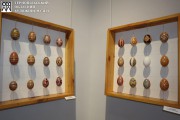 artmuseum.te.ua